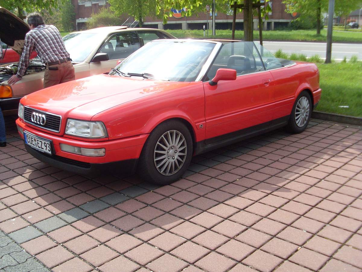 SL386719.JPG
